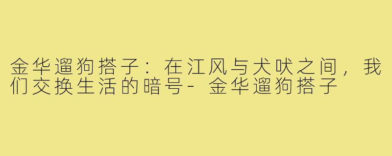 金华遛狗搭子：在江风与犬吠之间，我们交换生活的暗号-金华遛狗搭子
