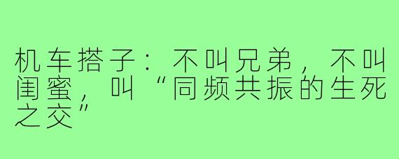 机车搭子：不叫兄弟，不叫闺蜜，叫“同频共振的生死之交”