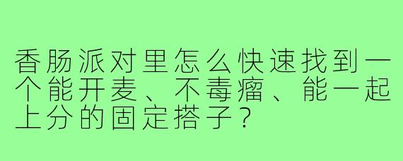 香肠派对里怎么快速找到一个能开麦、不毒瘤、能一起上分的固定搭子？