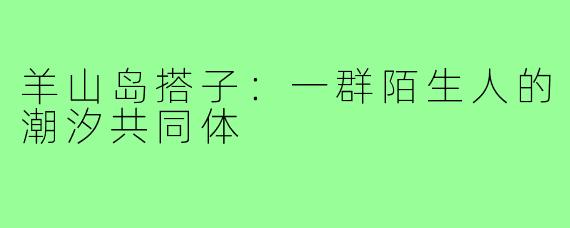 羊山岛搭子:一群陌生人的潮汐共同体