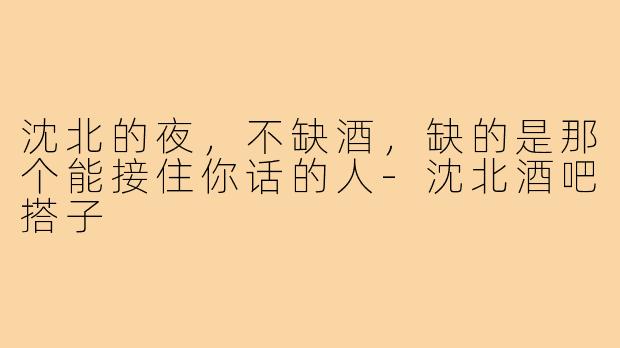 沈北的夜,不缺酒,缺的是那个能接住你话的人-沈北酒吧搭子