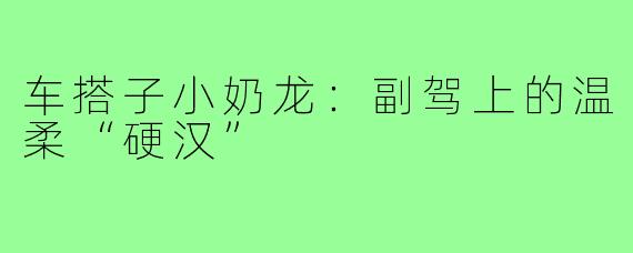 车搭子小奶龙：副驾上的温柔“硬汉”