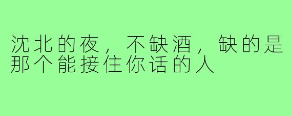 沈北的夜,不缺酒,缺的是那个能接住你话的人