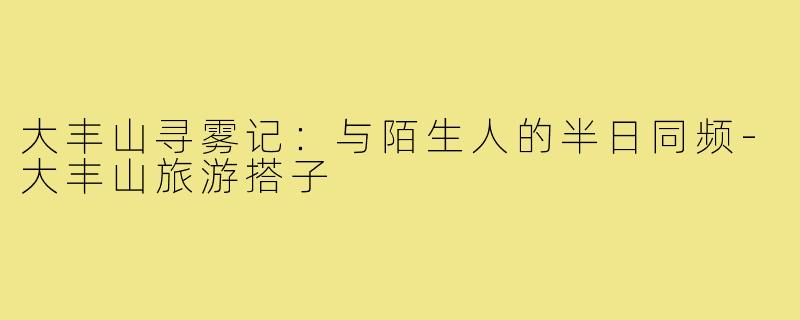 大丰山寻雾记:与陌生人的半日同频-大丰山旅游搭子