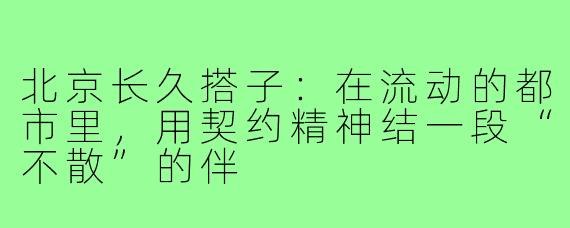 北京长久搭子:在流动的都市里,用契约精神结一段“不散”的伴