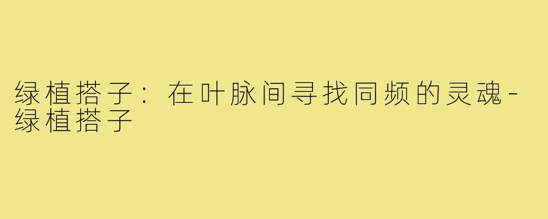 绿植搭子:在叶脉间寻找同频的灵魂-绿植搭子