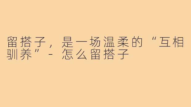 留搭子,是一场温柔的“互相驯养”-怎么留搭子