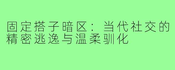 固定搭子暗区：当代社交的精密逃逸与温柔驯化