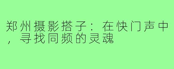 郑州摄影搭子:在快门声中,寻找同频的灵魂