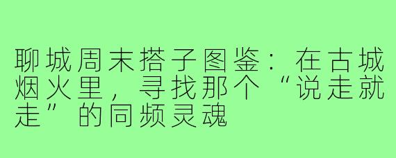 聊城周末搭子图鉴:在古城烟火里,寻找那个“说走就走”的同频灵魂