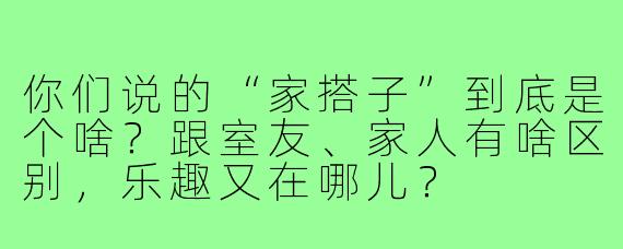 你们说的“家搭子”到底是个啥？跟室友、家人有啥区别，乐趣又在哪儿？