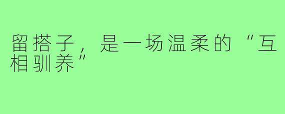 留搭子,是一场温柔的“互相驯养”