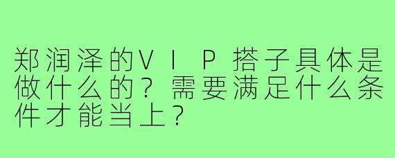 郑润泽的VIP搭子具体是做什么的?需要满足什么条件才能当上?