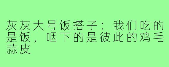灰灰大号饭搭子：我们吃的是饭，咽下的是彼此的鸡毛蒜皮