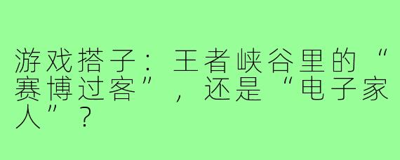 游戏搭子:王者峡谷里的“赛博过客”,还是“电子家人”?