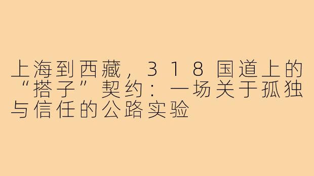 上海到西藏,318国道上的“搭子”契约:一场关于孤独与信任的公路实验