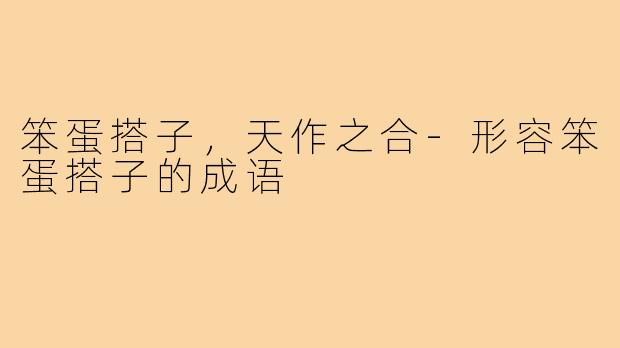 笨蛋搭子,天作之合-形容笨蛋搭子的成语