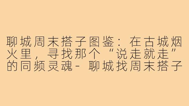 聊城周末搭子图鉴:在古城烟火里,寻找那个“说走就走”的同频灵魂-聊城找周末搭子