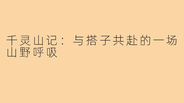 千灵山记:与搭子共赴的一场山野呼吸