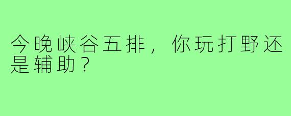 今晚峡谷五排,你玩打野还是辅助?