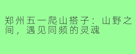 郑州五一爬山搭子:山野之间,遇见同频的灵魂