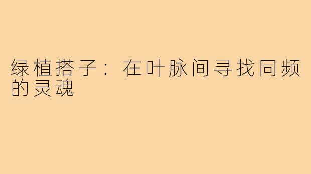 绿植搭子:在叶脉间寻找同频的灵魂
