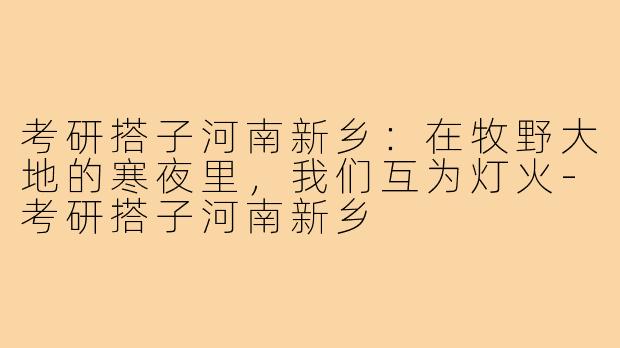 考研搭子河南新乡:在牧野大地的寒夜里,我们互为灯火-考研搭子河南新乡
