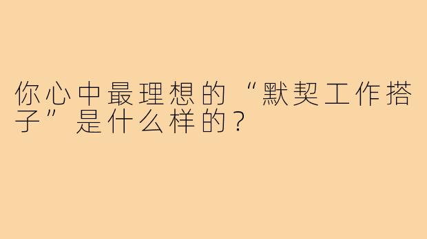 你心中最理想的“默契工作搭子”是什么样的?