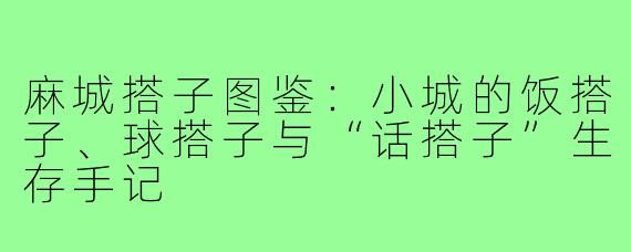 麻城搭子图鉴:小城的饭搭子、球搭子与“话搭子”生存手记