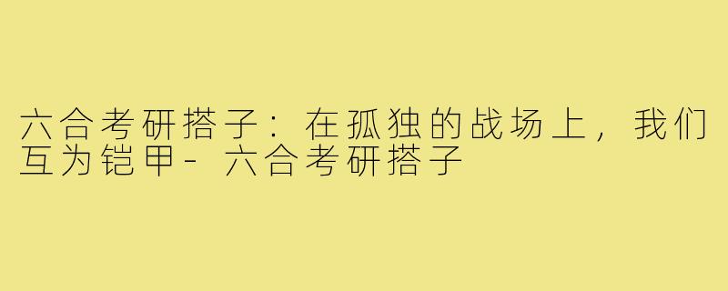 六合考研搭子:在孤独的战场上,我们互为铠甲-六合考研搭子