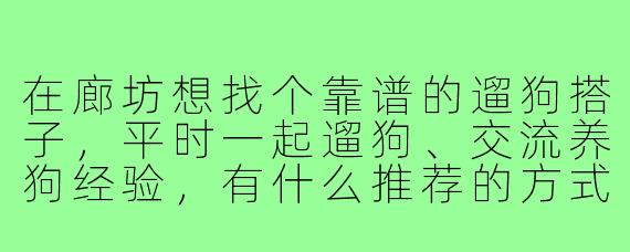 在廊坊想找个靠谱的遛狗搭子,平时一起遛狗、交流养狗经验,有什么推荐的方式或者需要注意的地方吗?