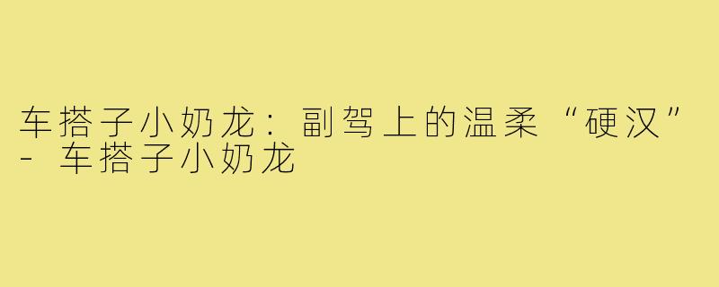 车搭子小奶龙：副驾上的温柔“硬汉”-车搭子小奶龙
