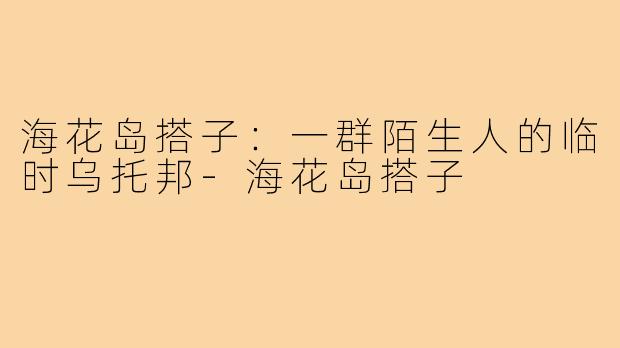 海花岛搭子:一群陌生人的临时乌托邦-海花岛搭子