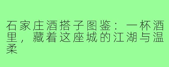石家庄酒搭子图鉴:一杯酒里,藏着这座城的江湖与温柔