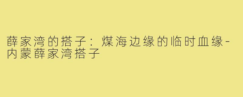 薛家湾的搭子:煤海边缘的临时血缘-内蒙薛家湾搭子