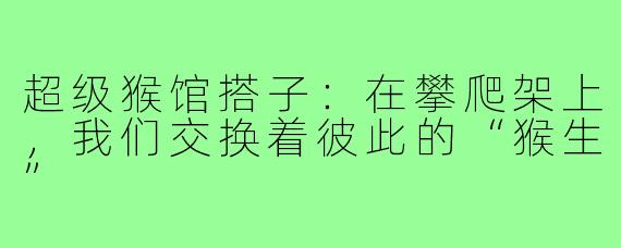 超级猴馆搭子:在攀爬架上,我们交换着彼此的“猴生”