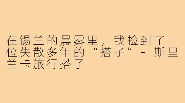 在锡兰的晨雾里,我捡到了一位失散多年的“搭子”-斯里兰卡旅行搭子