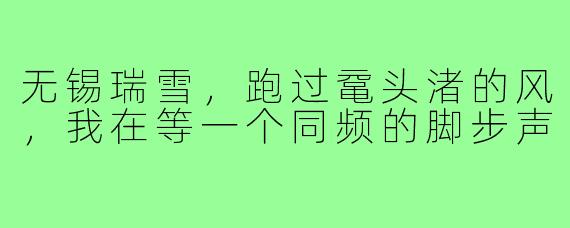 无锡瑞雪,跑过鼋头渚的风,我在等一个同频的脚步声