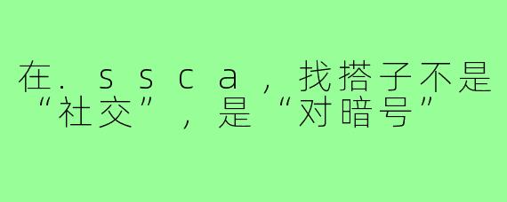 在.ssca,找搭子不是“社交”,是“对暗号”